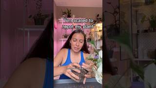 If you’re scared to repot or pot up your plants… #plantcare #repottingplants #plantpots