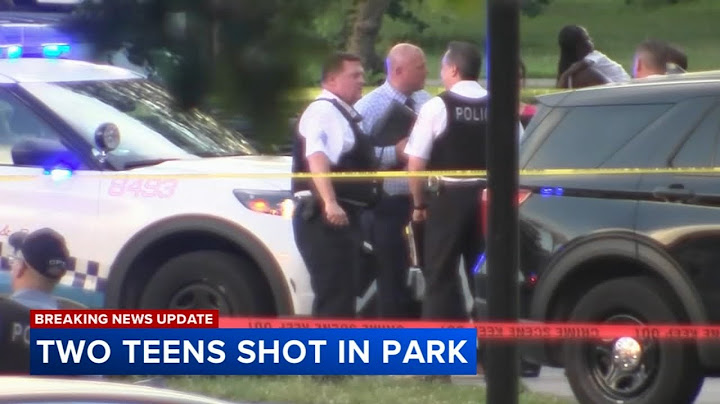 Laquan McDonald's cousin shot, 2nd teen killed allegedly by lifeguard at Douglass Park, report shows