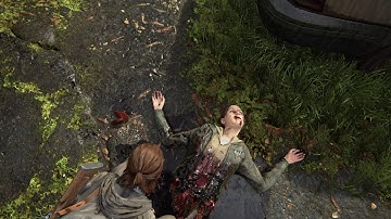 The Last Of Us Part II PS4 Pro 4K Walkthrough No Commentary - Part 7