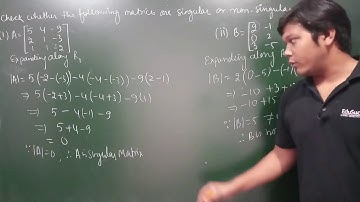 16. Determinants - Singular & Non-Singular Matrices - Example #1