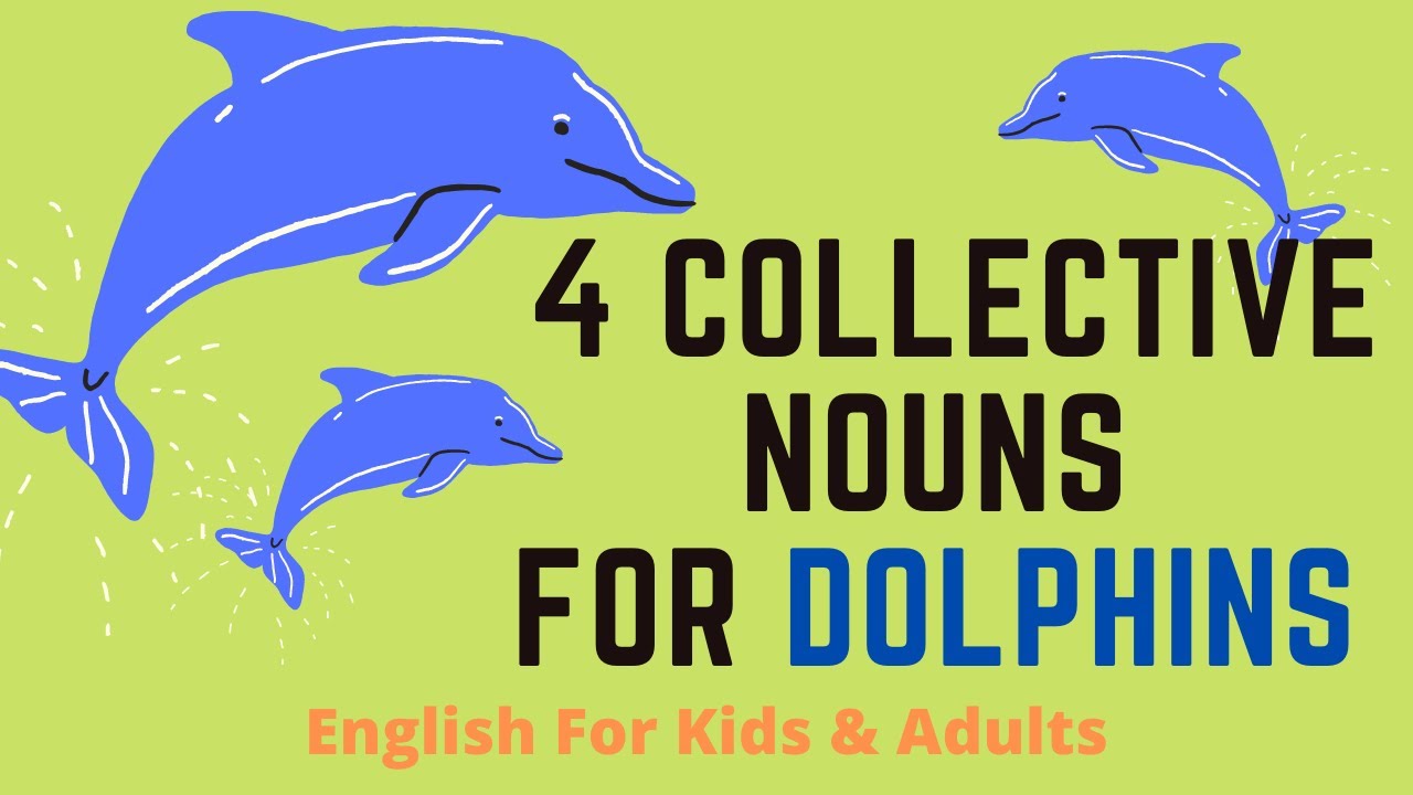 Английский про дельфинов. Дельфин по английски. Дельфин на английском надпись. Команда Грация дельфина на английском. Плакаты про дельфина на английском язфке.