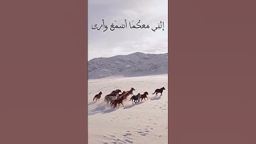 قَالَ لَا تَخَافَا ۖ إِنَّنِي مَعَكُمَا أَسْمَعُ وَأَرَىٰ #قرآن #قران_كريم  #سورة_طه #راحة_نفسية 🤍