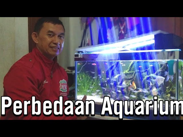 Perbedaan Aquarium air tawar dengan air laut class=