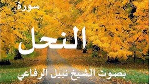 سورة النحل بصوت الشيخ / نبيل الرفاعي 16