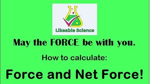Force and Net Force