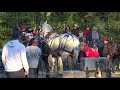 Tire de chevaux, St Honoré 2017, 6000 lb