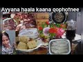 Qophiin ayyana kana fakka guyya kalessa hayatorotube8553 oromia11 yayahope20