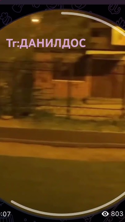 Ссылка на тг в профиле). Подпишитесь чучуть осталось #рек #прикол #юмор ...