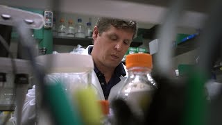 MBI Rising Stars: Dr. Jeremy McIntyre