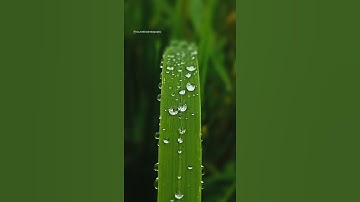 How to lightroom photo editing new background colour retouching keypad 🔥 background blur new photo 🔥