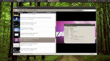 MiniTube 1.3 - Ubuntu 10.10