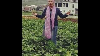 Bunda Halimah pakar herbal Indonesia asli Madura