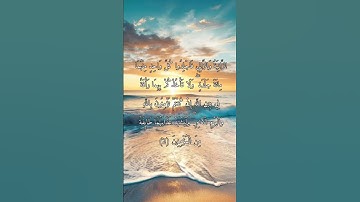 الآية (2) و الآية (3) من سورة النور