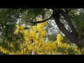 Nature Photography Part - 1