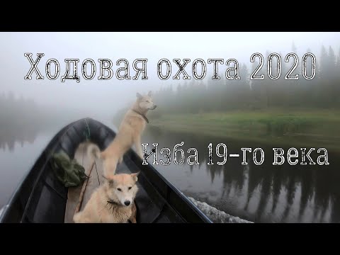 Видео: ходовая охота 2020,открытие охоты.