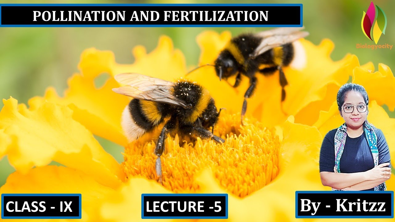 POLLINATION AND FERTILIZATION PART 5 - YouTube
