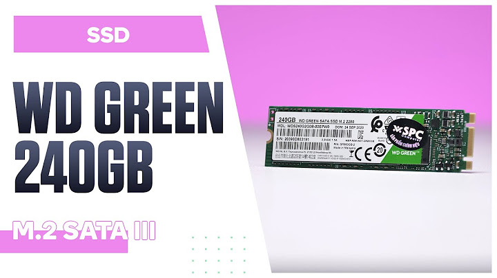 Đánh giá ssd m2 wd green 240