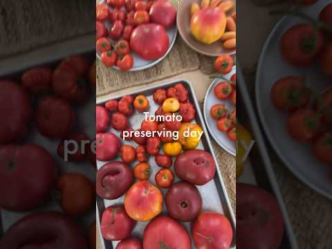 Preserving tomatoes without