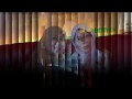 Jumpa Kamu by KLa Project (rie)