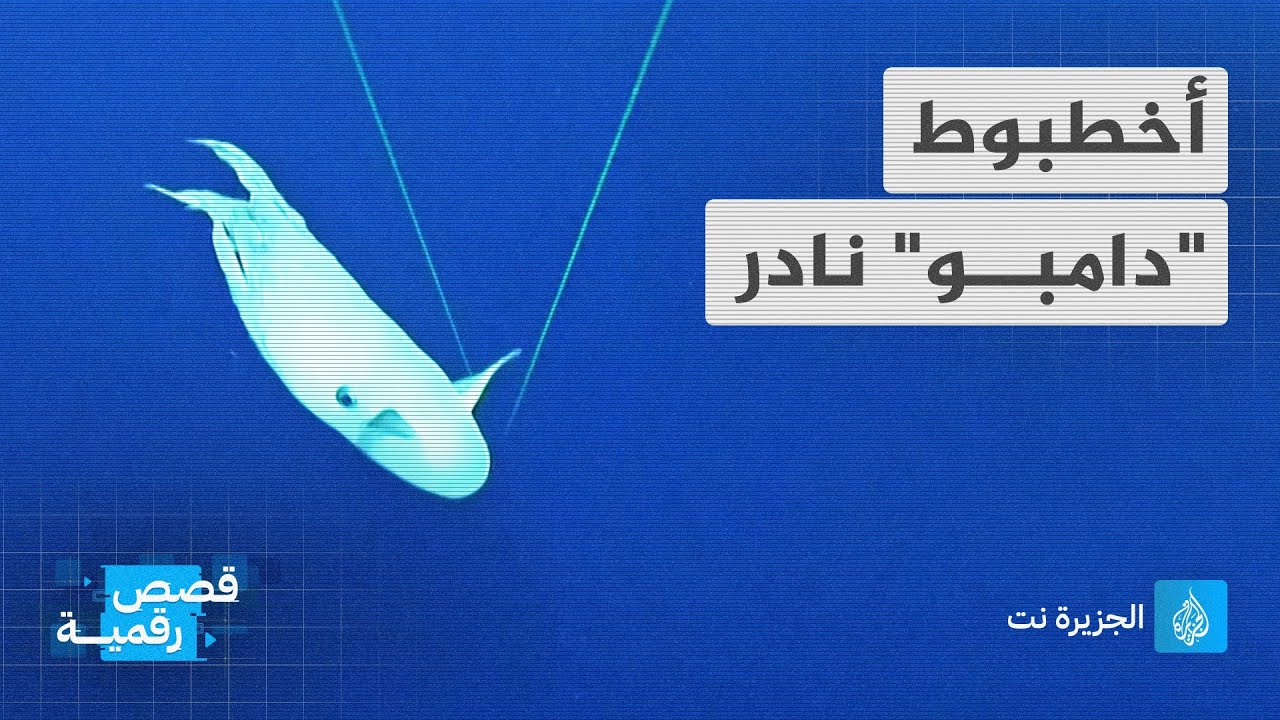 أخطبوط "دامبو" نادر في المحيط الهادي