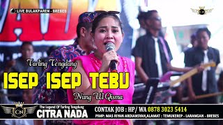 ISEP ISEP TEBU ~ NUNG UL QISMA/ CITRA NADA LIVE DESA BULAKPAREN/ BULAKAMBA - BREBES