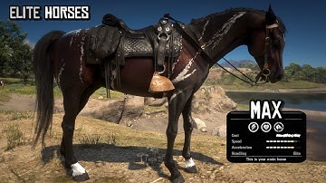 5 Legendary Elite Horses for Arthur | Red Dead Redemption 2