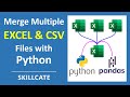 MERGE/COMBINE Multiple Excel Files (.XLSX   .CSV) into One File ⚡️ In 1 Minute ⚡️ With Python