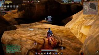 BDO Node Manager of Cadry Ruins Anne Larker