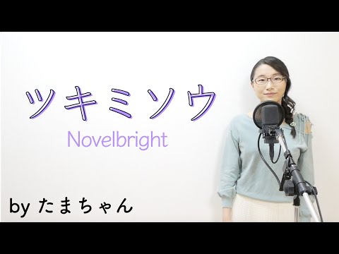 ツキミソウ / Novelbright(たまちゃん,Tamachan)【歌詞付(概要欄) / フル(full cover)】