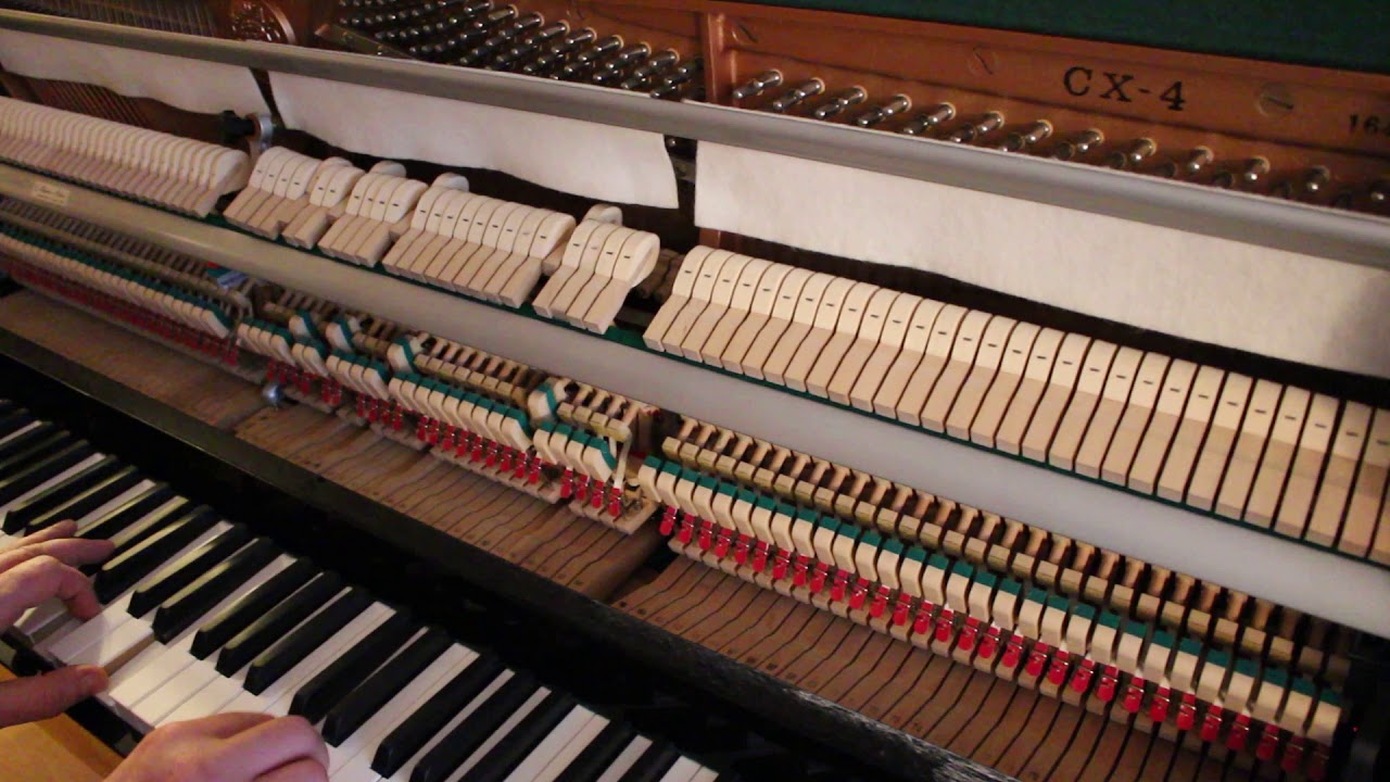 kawai cx 5 review kawai cx 5 review