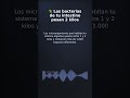 Las bacterias de tu intestino pesan 2 kilos