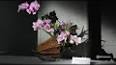 The Enchanting World of Japanese Flower Arrangement (Ikebana) ile ilgili video