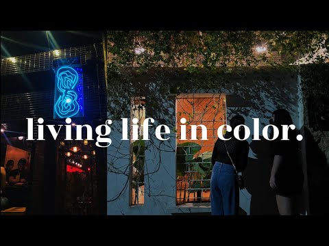 Balancing work and social life, and voting! ☺️