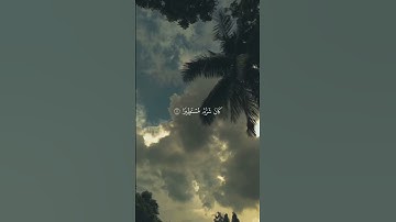 #قران_كريم #تلاوة_خاشعة #ايات_القرآن_الكريم #تلاوات_خاشعة