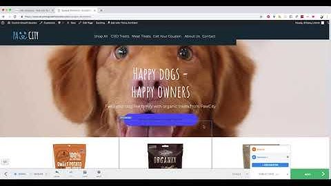 VWO Test Setup Walkthrough
