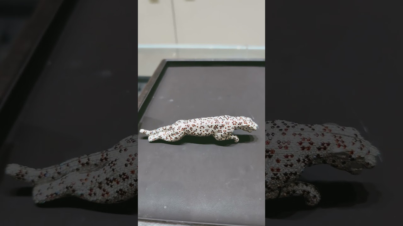 Diamond studded Jaguar