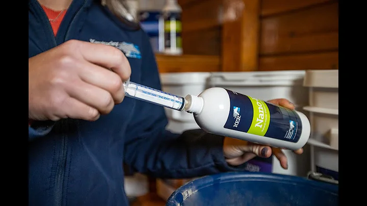 Nano-E: Vitamin E Supplement for Horses