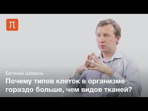 Ткани животных - Евгений Шеваль
