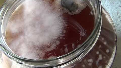 Biochar ferment June 2020