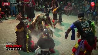 Download Bantengan Suro Gwalak Tapi Newwenengne - New Wijoyo Putro Live Dukuh 2019 Video MP3 Bantengan Suro Gwalak Tapi Newwenengne - New Wijoyo Putro Live Dukuh 2019
