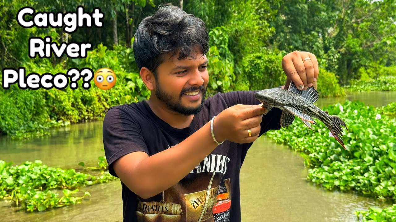 New Location for Pleco Fish??😳Really??🔥 | River Fishing in Assam River | Fishing Videos