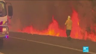 Incendies en Australie : situation 