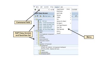 SAP ECC Navigation Options | SAPNotes