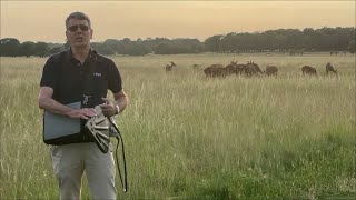 Hunting RF interferers in the field with an Anritsu Field Master spectrum analyzer