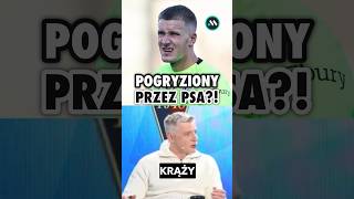MROZEK POGRYZIONY PRZEZ PSA?! 😮