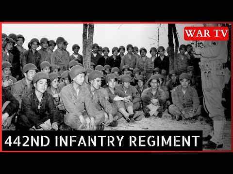 Legacy Of Japanese Americans In World War II: 442nd Infantry Regiment