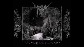 Northern Myst - And Night Was Born