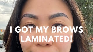 I got my Brows Laminated + Fun Healthy Snack Vlog!