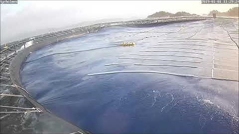 Floating Solar | Rough Sea Demonstration