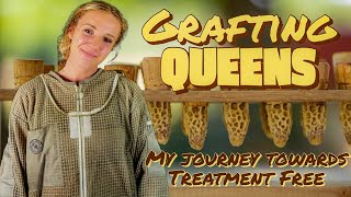 Learning HOW To Rear Queens with Grafting / Beekeeping 101 #beekeeping #beekeeping101 #queenbee